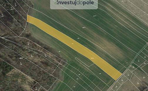 Prodej pole 4 467 m², Ondřejov, okres Praha-východ