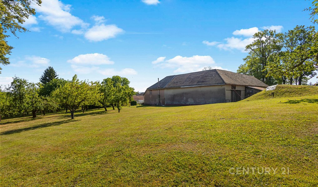 Prodej domu 190 m² s pozemkem 3 520 m², Javorník – náhled fotky 27