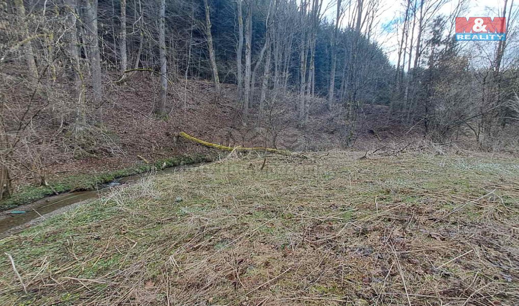 Prodej stavebního pozemku 852 m², Jindřichov – náhled fotky 9
