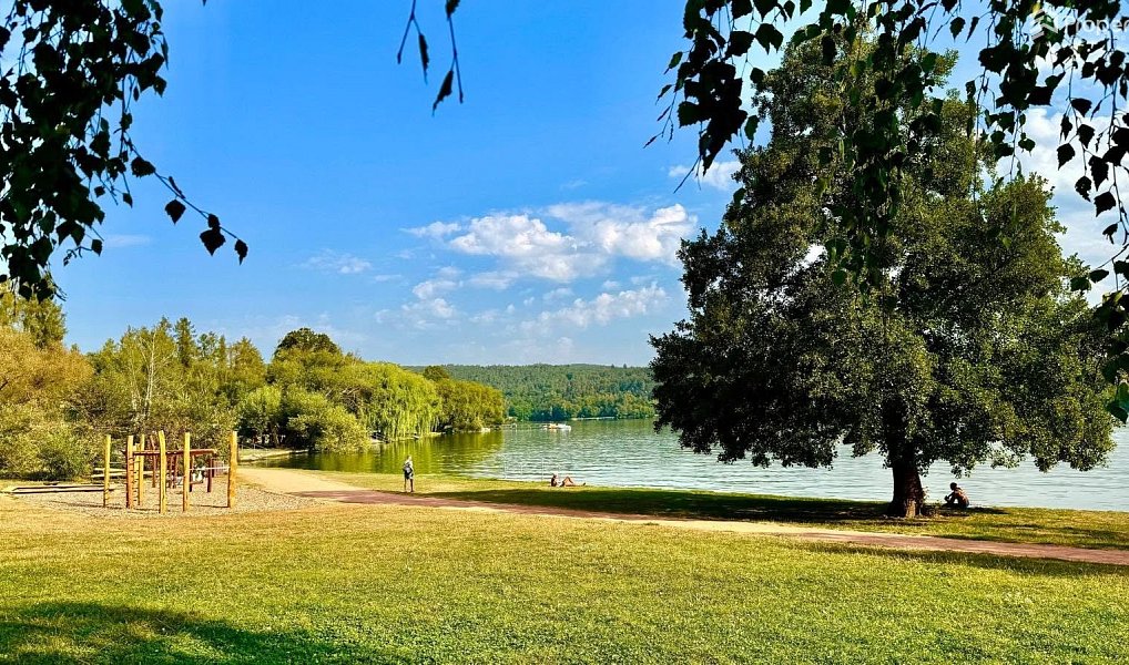 Prodej chaty/chalupy 101 m² s pozemkem 555 m², Brno – náhled fotky 13