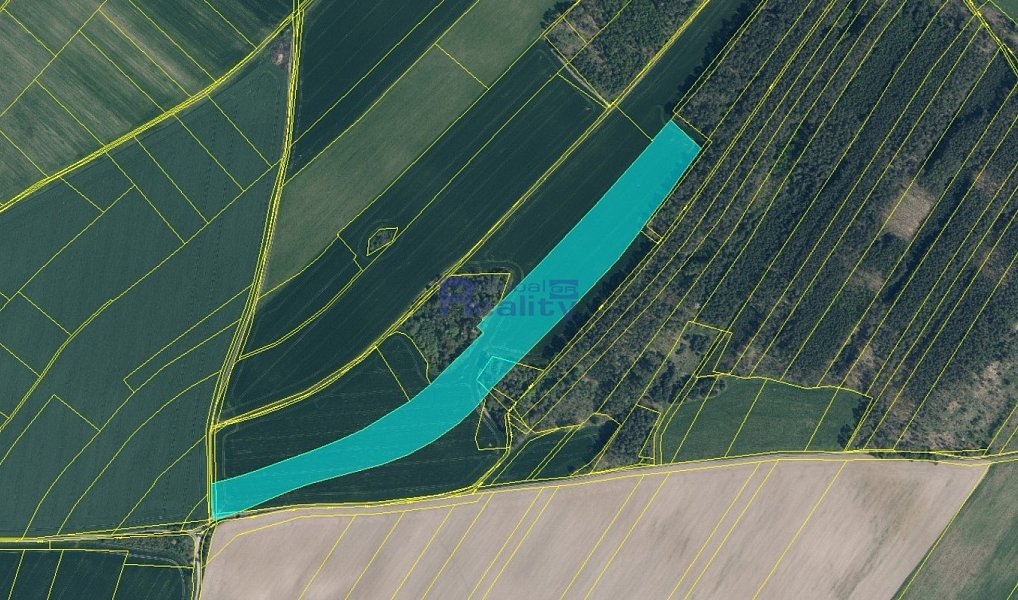 Prodej pole 45 747 m², Mělník – náhled fotky 3