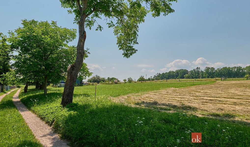 Prodej stavebního pozemku 1 214 m², Rychnov nad Kněžnou – náhled fotky 8