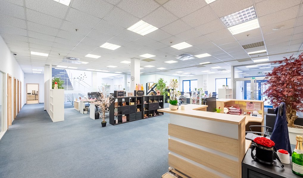 Pronájem kanceláře 1 030 m², Praha – náhled fotky 7
