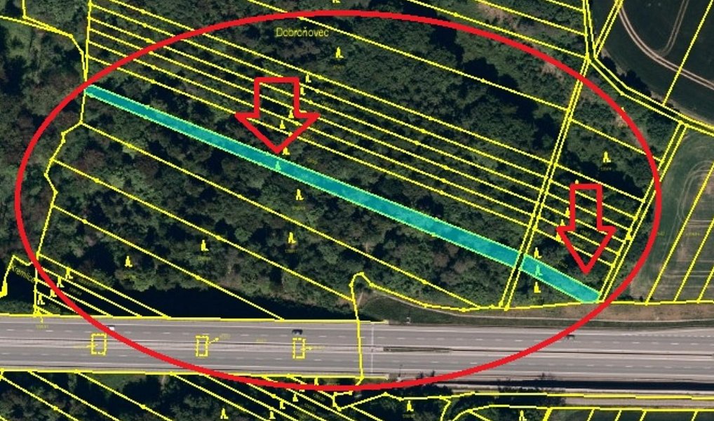 Prodej lesa 1 538 m², Velká Polom – náhled fotky 8