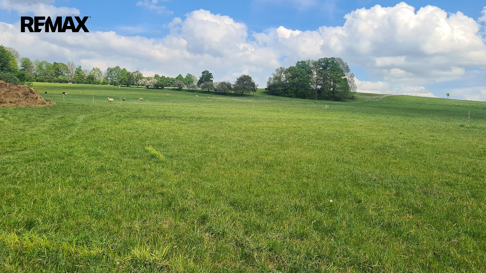 Prodej louky 7 058 m² – pohled 4