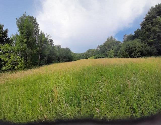 Pronájem pole 510 m² — photo 2