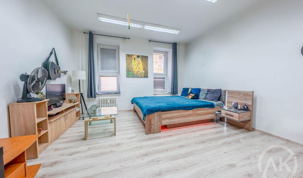 Pronájem bytu 1+kk 39 m², Ostrava – náhled fotky 7