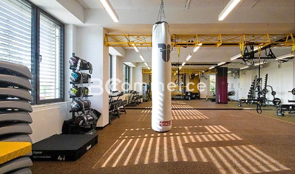 Pronájem kanceláře 150 m², Brno – náhled fotky 16