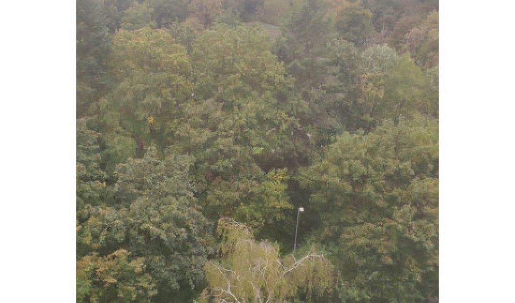 Pronájem bytu 2+kk 45 m², Praha – náhled fotky 10