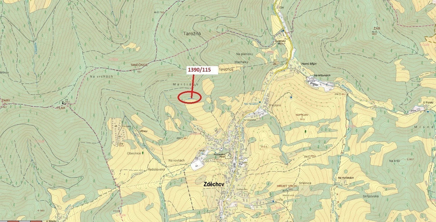 Dražba lesa 200 m²