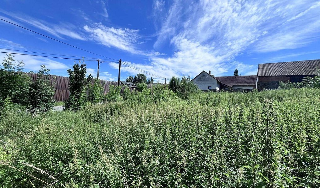 Prodej stavebního pozemku 1 039 m², Čermná ve Slezsku – náhled fotky 8