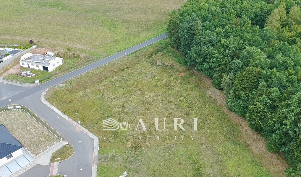 Prodej stavebního pozemku 2 642 m², Olešná – náhled fotky 6