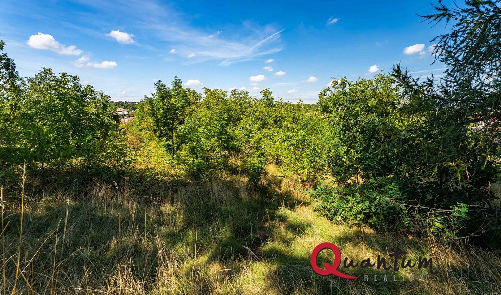Prodej stavebního pozemku 16 339 m², Brandýsek – náhled fotky 55