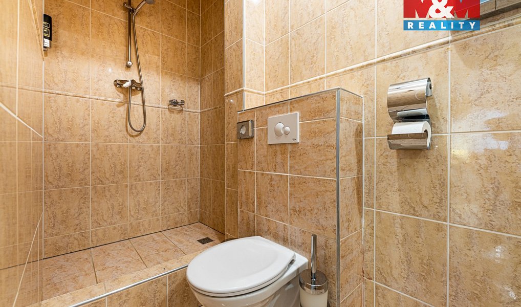 Pronájem bytu 2+kk 80 m², Plzeň – náhled fotky 11