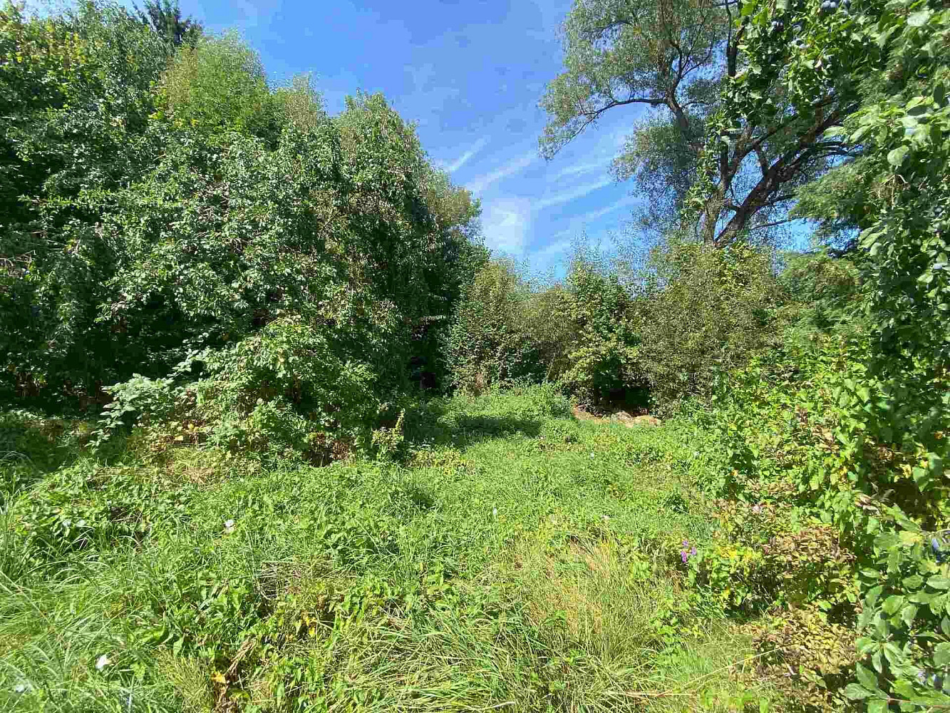 Prodej stavebního pozemku 2 842 m² – fotografie 2