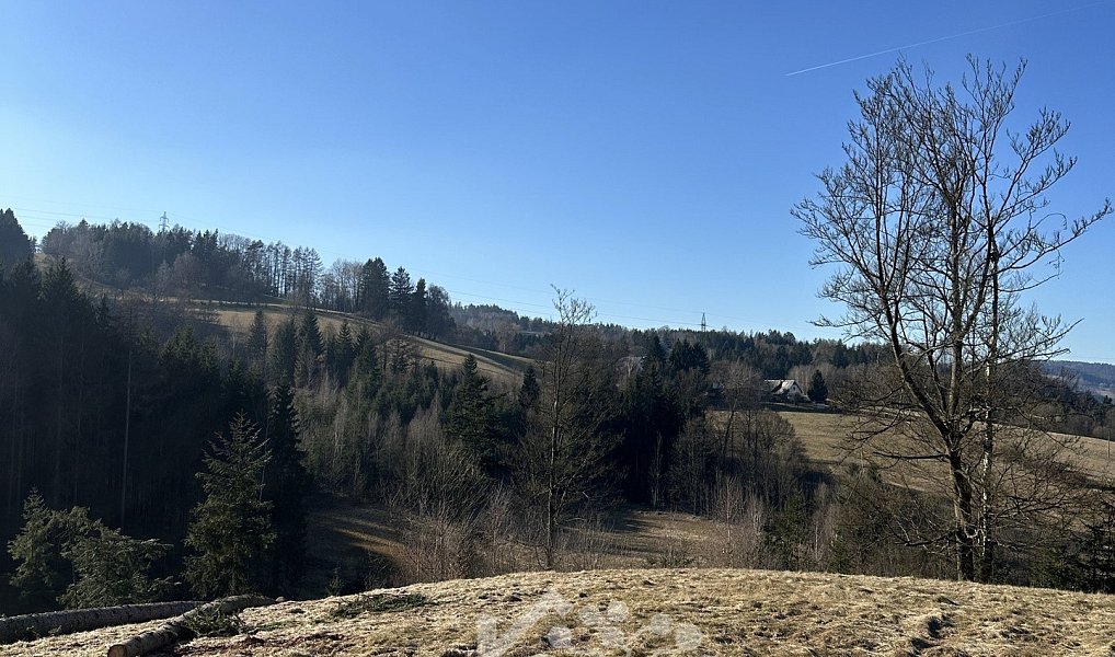 Prodej louky 14 441 m², Bozkov – náhled fotky 2