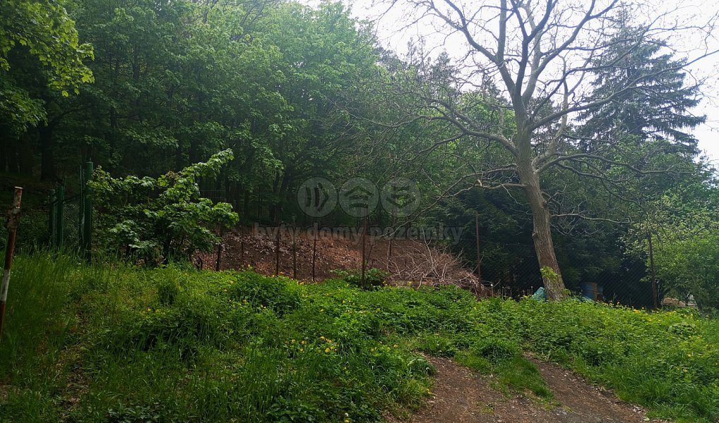 Prodej zahrady 675 m², Kadaň – náhled fotky 10