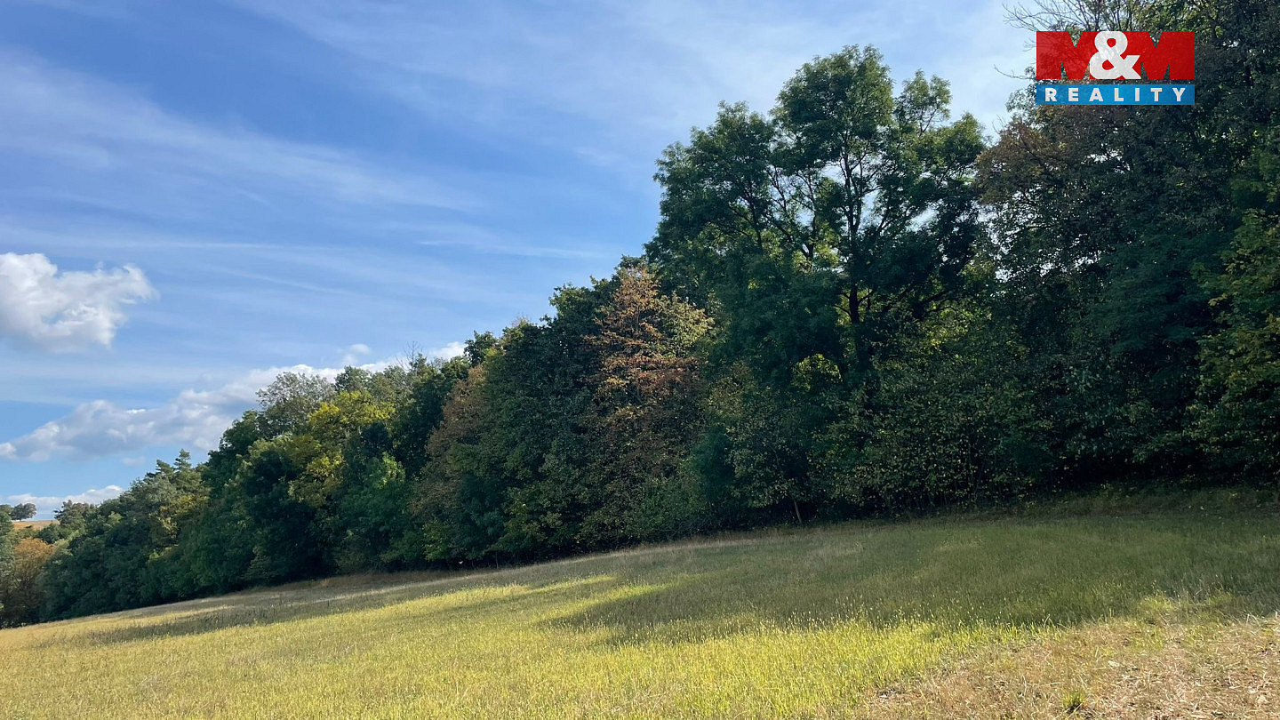 Prodej lesa 845 297 m² – pohled 3