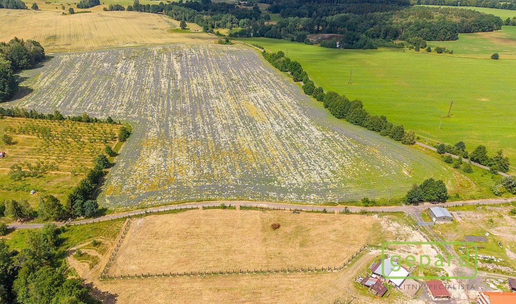 Prodej stavebního pozemku 1 021 m², Františkovy Lázně – náhled fotky 17