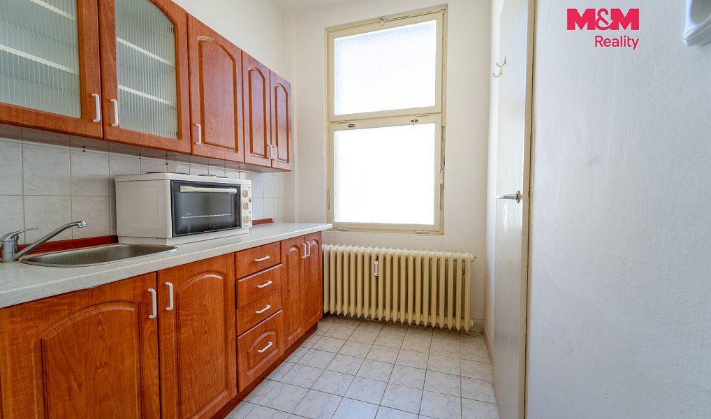 Pronájem bytu 1+1 34 m², Plzeň – náhled fotky 11
