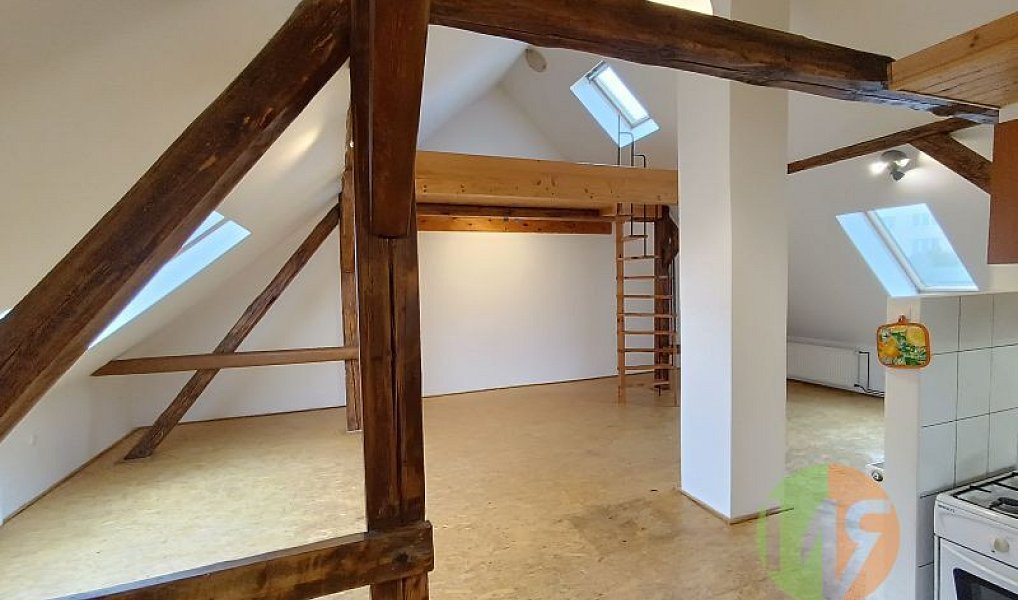 Pronájem bytu 1+kk 60 m², České Budějovice – náhled fotky 3