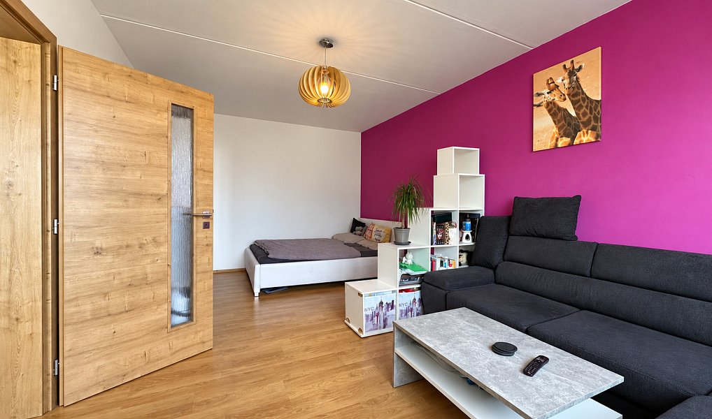 Pronájem bytu 1+1 39 m², Plzeň – náhled fotky 7