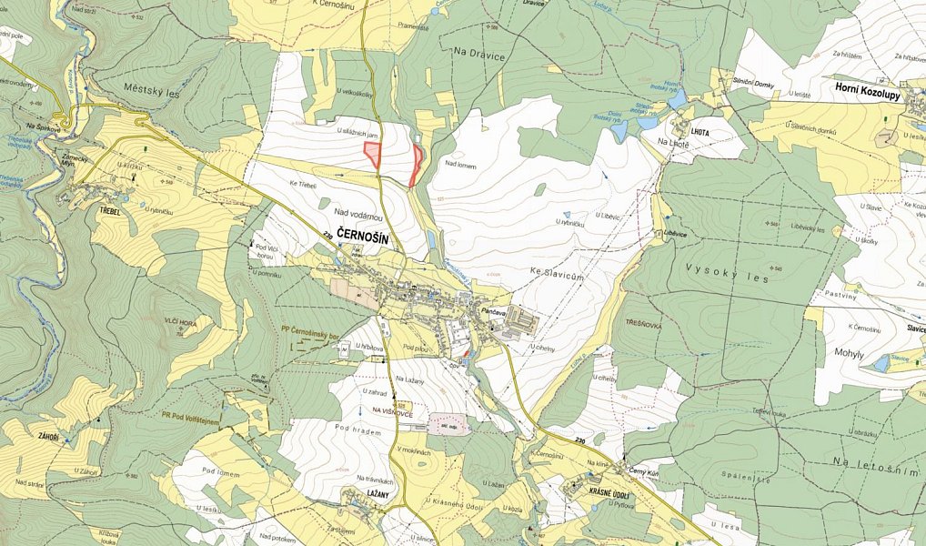 Prodej pole 32 562 m², Černošín – náhled fotky 3