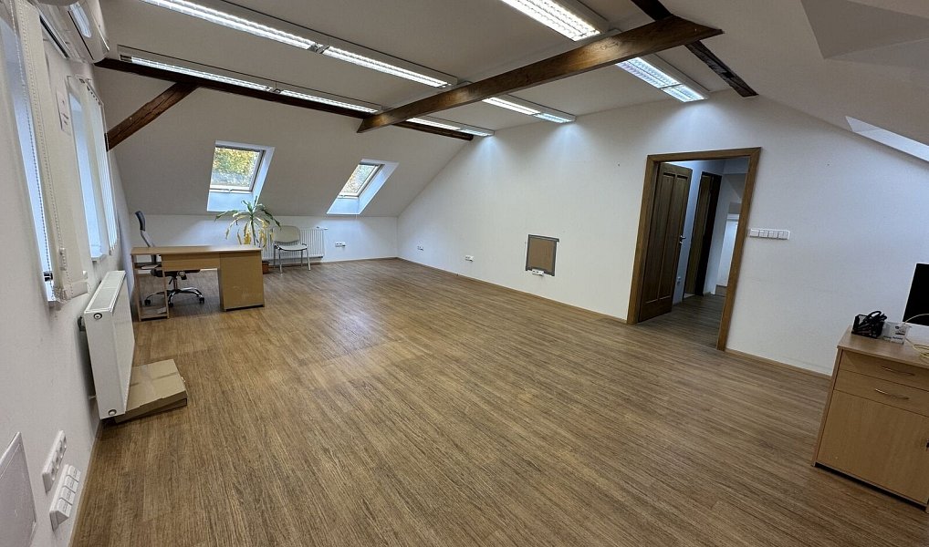 Prodej obchodních prostor 1 076 m², Lutonina – náhled fotky 23
