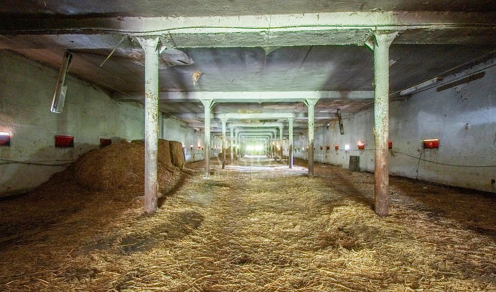 Prodej výrobních prostor 800 m², Radomyšl – náhled fotky 15