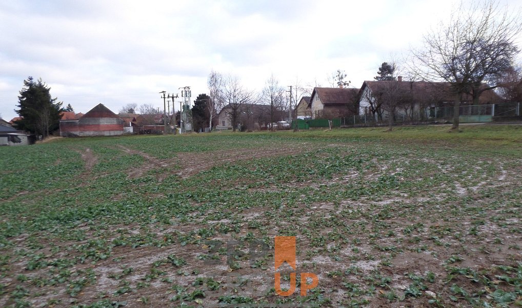 Prodej stavebního pozemku 13 343 m², Heřmanův Městec – náhled fotky 11
