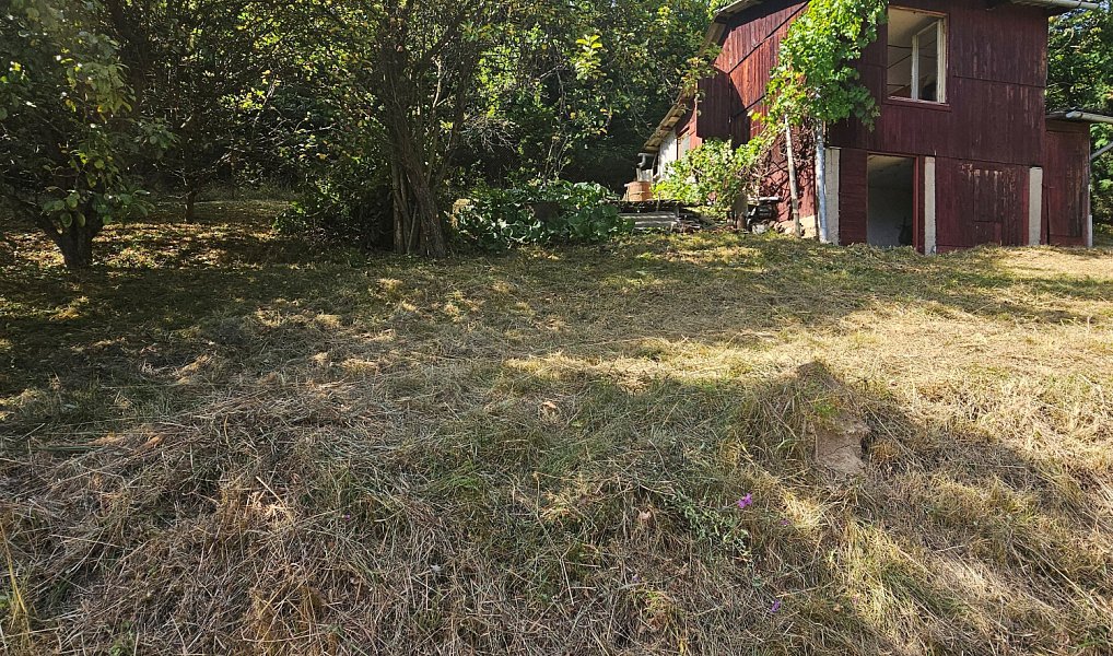 Prodej louky 7 512 m², Dlouhomilov – náhled fotky 2