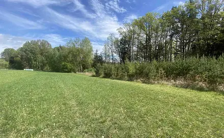 Prodej pole 5 875 m², Malovice, okres Prachatice