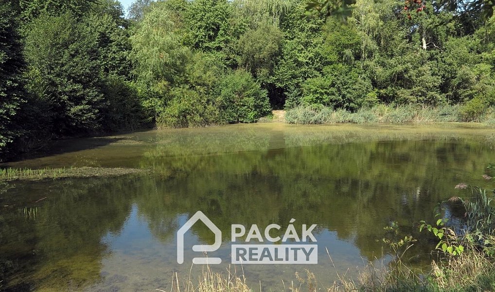 Prodej pole 15 995 m², Kožušany-Tážaly – náhled fotky 4