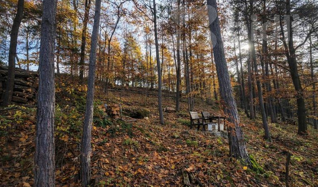 Prodej pozemku 1 467 m², Slapy – náhled fotky 3