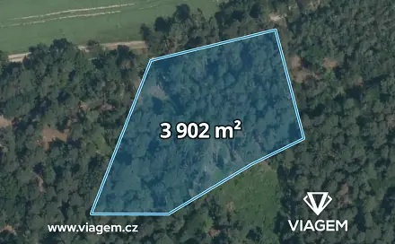 Prodej lesa 650 m², Vrchotovy Janovice, okres Benešov