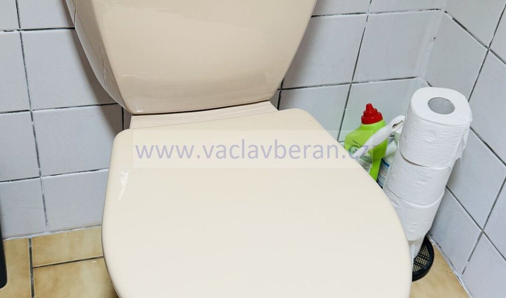 Prodej domu 146 m² s pozemkem 200 m², Česká Třebová – náhled fotky 30