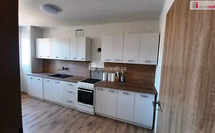 Pronájem bytu 3+1 78 m², Purkyňova, Ústí nad Labem - Střekov