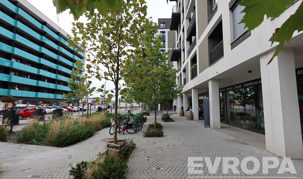 Pronájem bytu 1+kk 40 m², Praha – náhled fotky 14