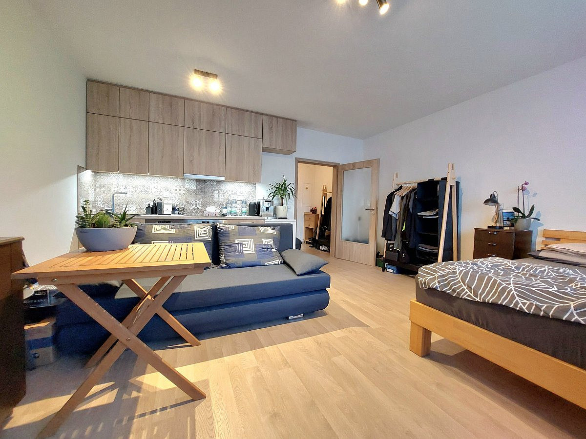 Pronájem bytu 1+kk 33 m²