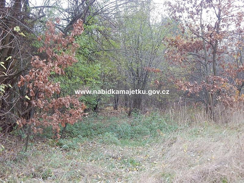 Prodej pozemku 4 835 m² — photo 2