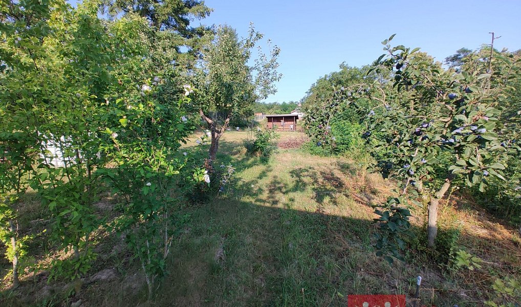 Prodej chaty/chalupy 16 m² s pozemkem 2 618 m², Nový Šaldorf-Sedlešovice – náhled fotky 18