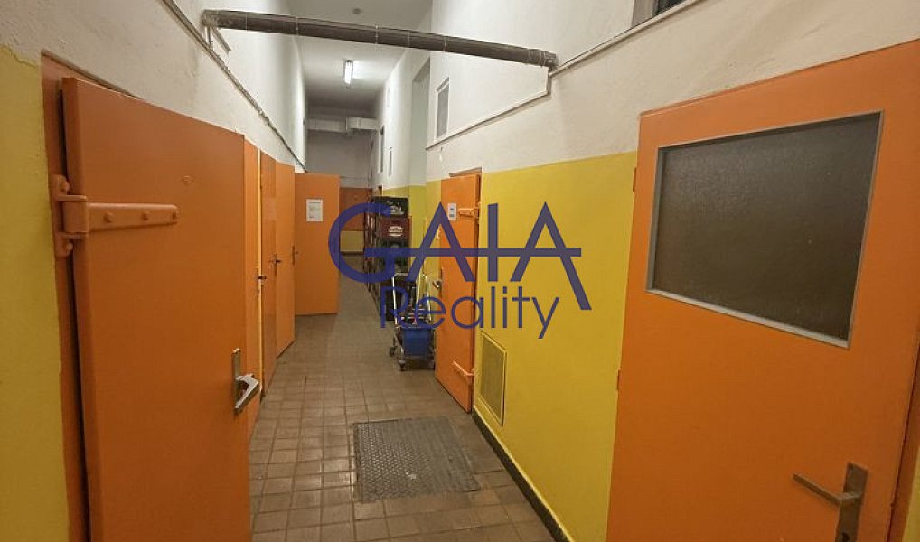 Prodej obchodních prostor 600 m², Dačice – náhled fotky 10