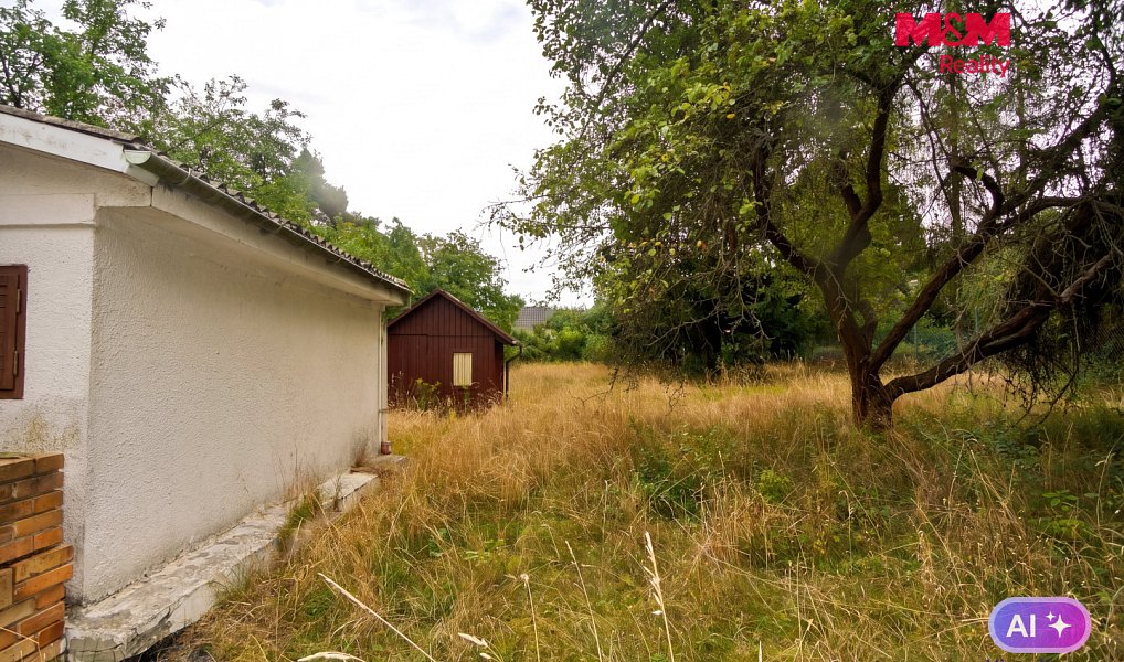 Prodej stavebního pozemku 2 828 m², Družec – náhled fotky 5