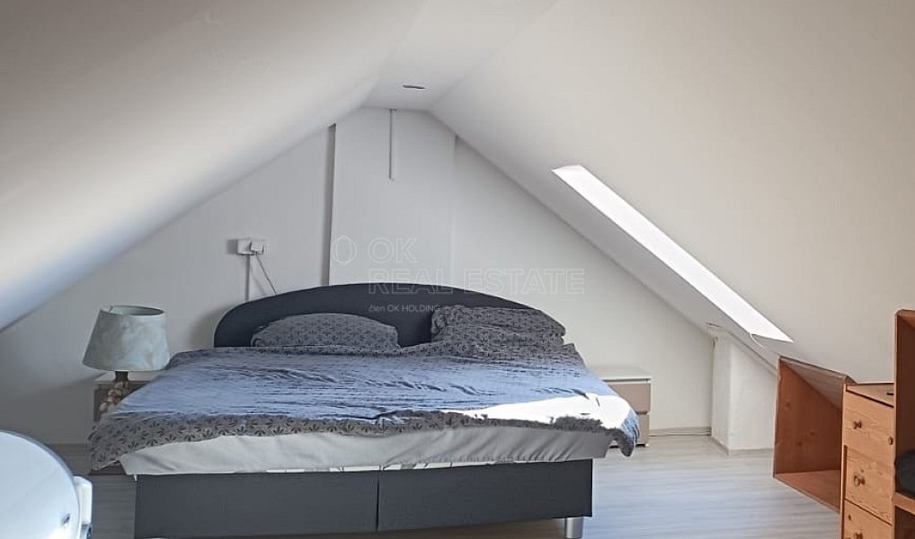 Pronájem domu 180 m² s pozemkem 78 m², Tachov – náhled fotky 7