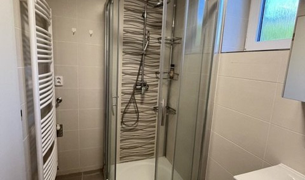 Pronájem domu 170 m² s pozemkem 832 m², Vizovice – náhled fotky 7