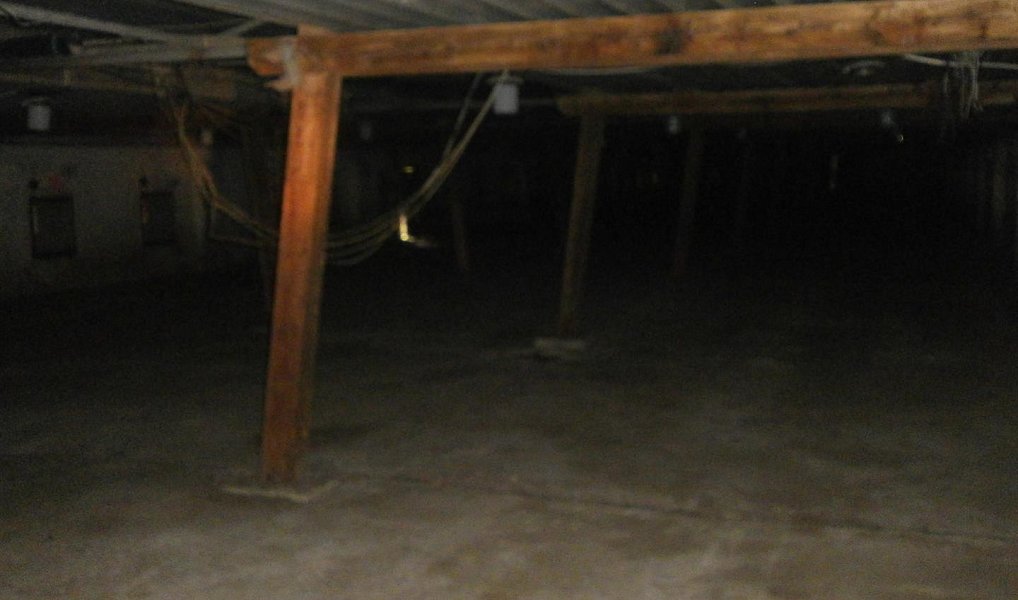Prodej zemědělského objektu 21 811 m², Šternberk – náhled fotky 13
