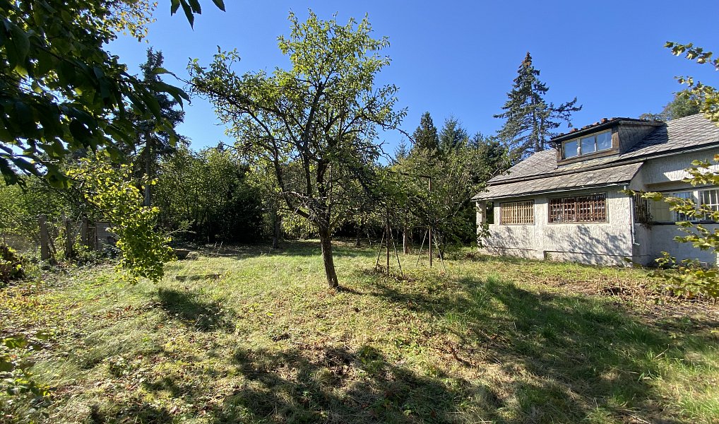 Prodej stavebního pozemku 1 605 m², Nová Ves pod Pleší – náhled fotky 2