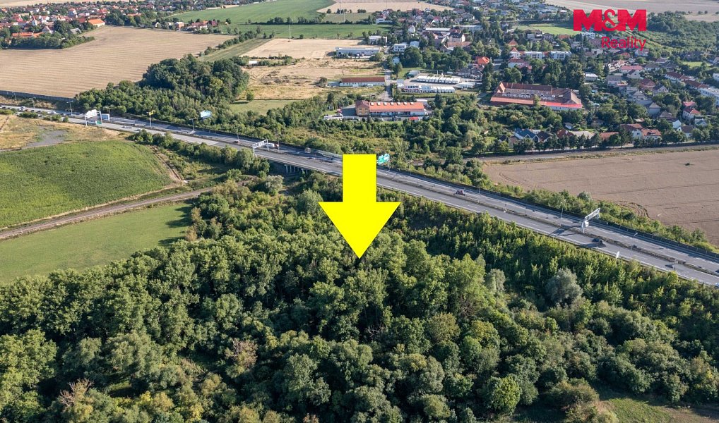 Prodej lesa 8 894 m², Praha – náhled fotky 5