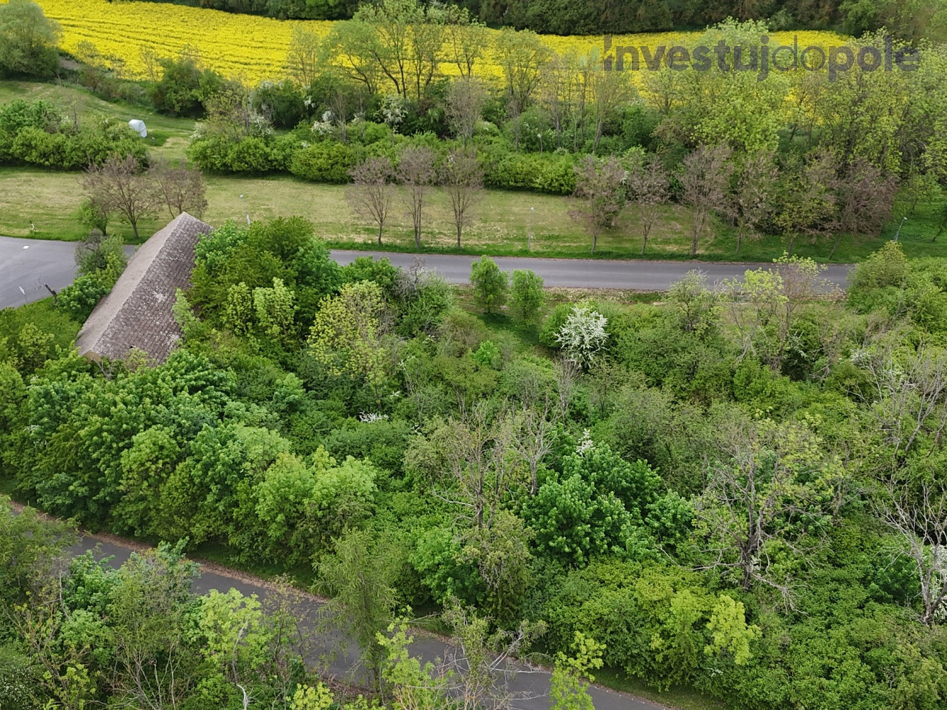 Prodej stavebního pozemku 3 001 m² – pohled 5