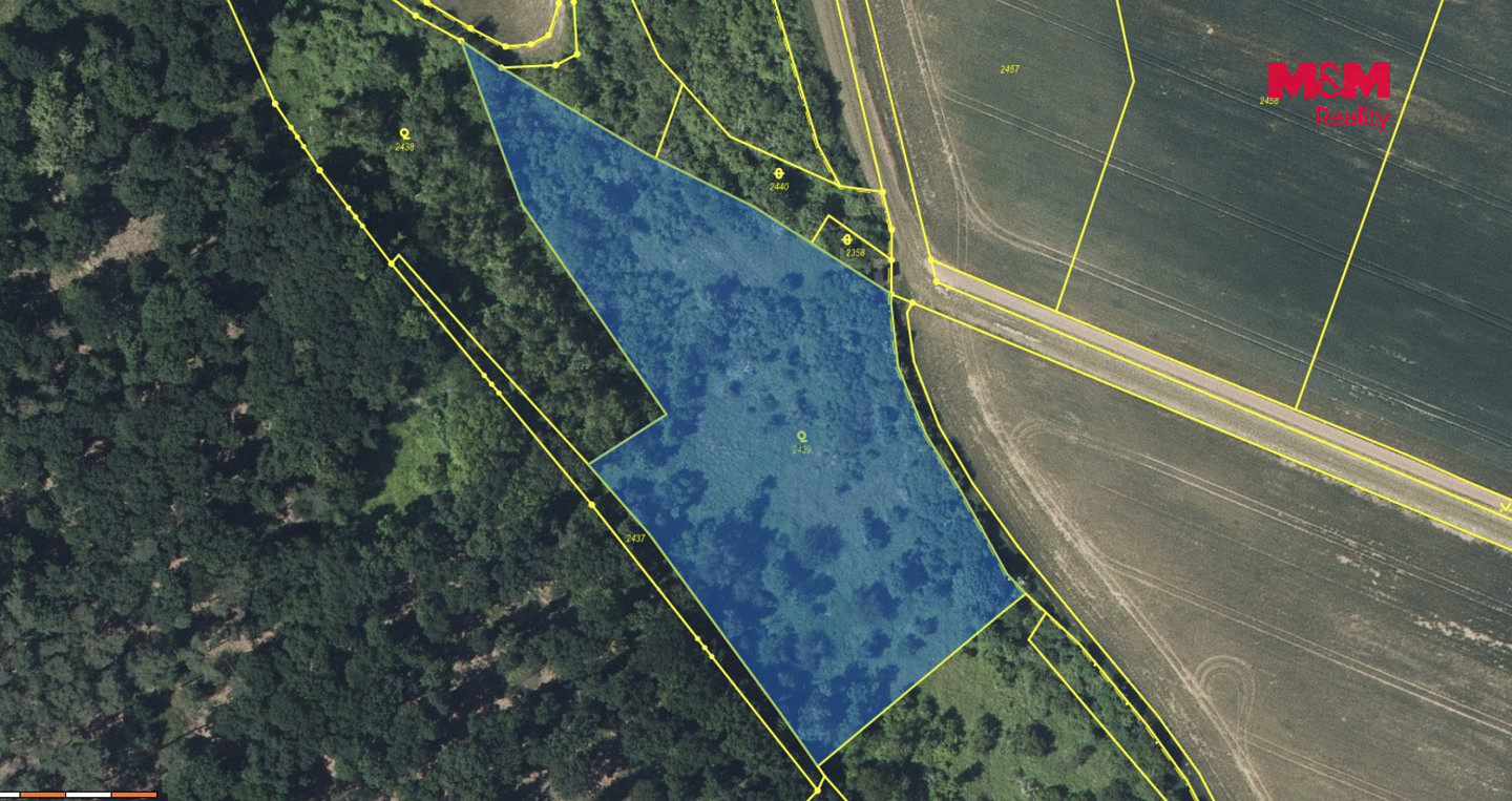 Prodej pole 7 746 m² — photo 4